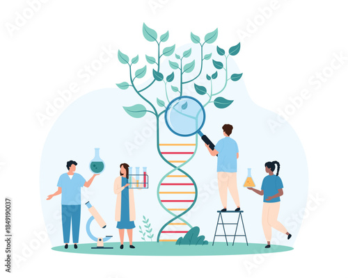 Biotechnology, genetic research for agriculture and agronomy. Tiny people with magnifying glass study genome of plant growing from DNA helix, genes of green sprout cartoon vector illustration