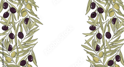 A beautiful botanical background with vertical borders of green and black olive branches, leaving central copy space for text.