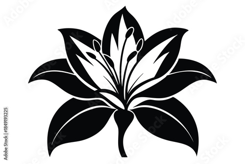 lily silhouette line art vector illustration