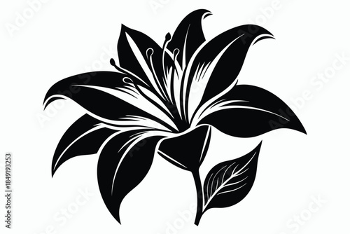 lily silhouette line art vector illustration