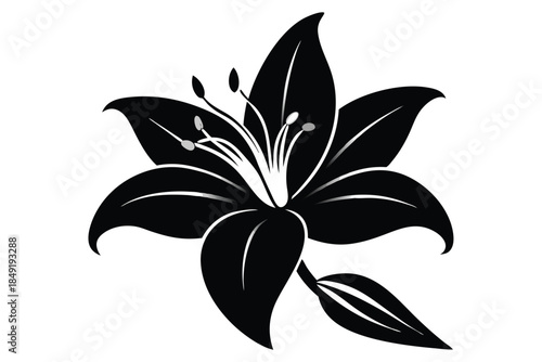 lily silhouette line art vector illustration