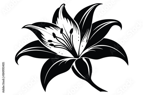 lily silhouette line art vector illustration
