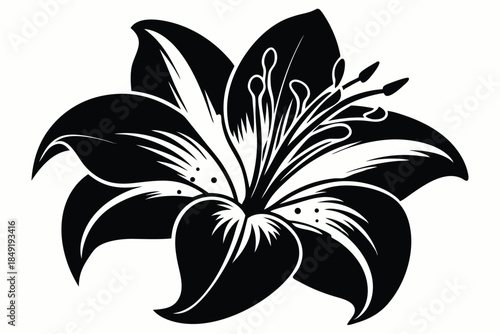 lily silhouette line art vector illustration