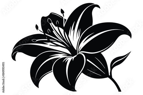 lily silhouette line art vector illustration