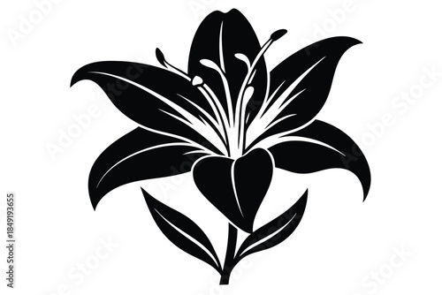 lily silhouette line art vector illustration