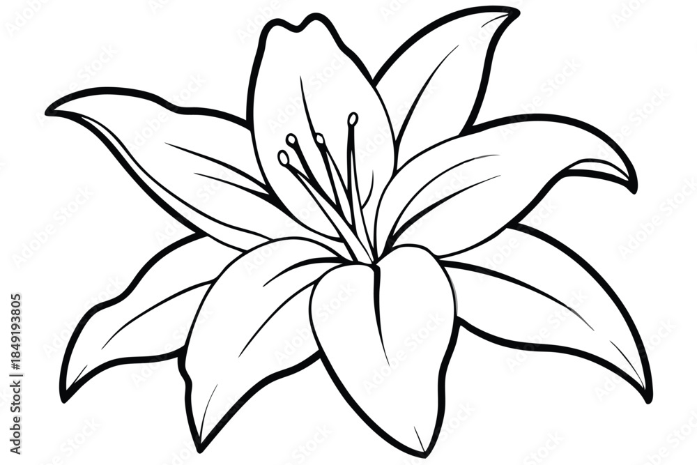 Obraz premium lily silhouette line art vector illustration