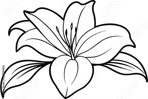 lily silhouette line art vector illustration
