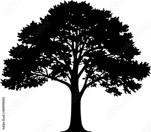 diverse tree silhouettes vector illustration, featuring pine trees, oak trees, and various deciduous and evergreen forest species for landscaping and graphic design.