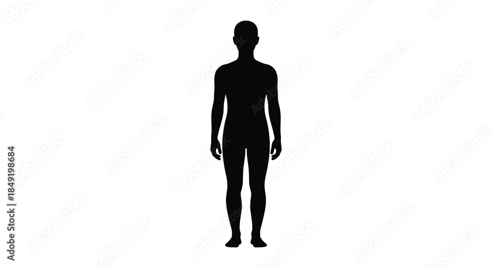 Fototapeta premium A full body depiction of a human form starkly contrasted against a white background silhouette