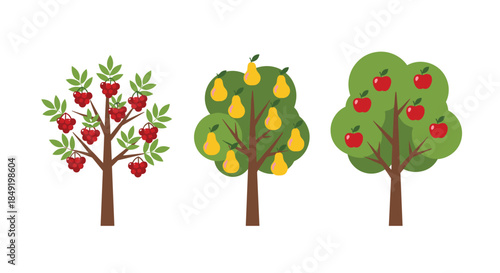 A set of three charming fruit trees including an apple tree, a pear tree, and a berry tree in a simple flat style.
