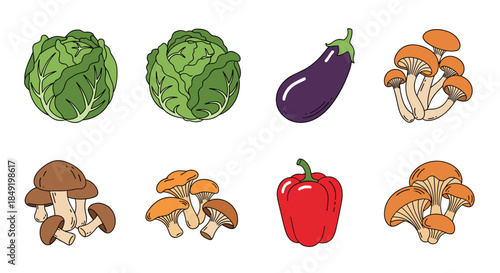A set of fresh, hand-drawn style vegetable and mushroom illustrations including cabbage, eggplant, and bell pepper.