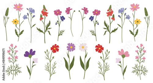 A beautiful and diverse collection of hand-drawn meadow wildflowers and botanical elements for decorative floral designs.