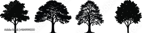 A diverse collection of black tree silhouettes isolated on a white background. This set includes various forest and woodland trees as graphic vector icons for nature-themed design.