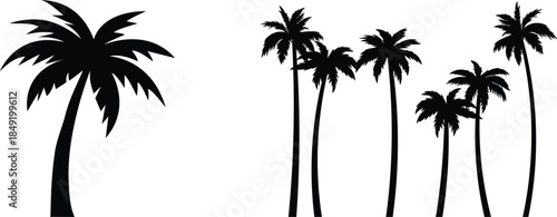 A diverse collection of black tree silhouettes isolated on a white background. This set includes various forest and woodland trees as graphic vector icons for nature-themed design.