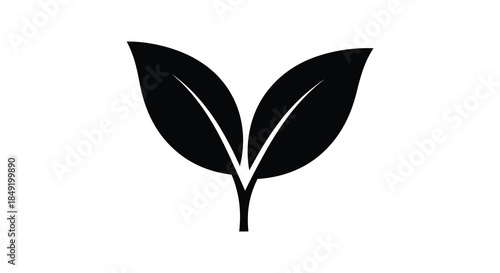 A striking black leaf design showcasing detailed venation and a bold defined silhouette