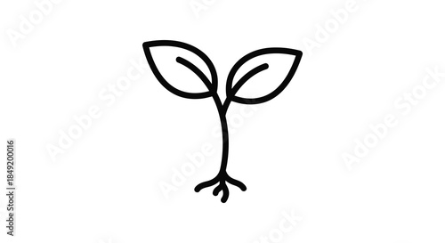 A simple illustration of a sprouting plant with two leaves and roots a black silhouette