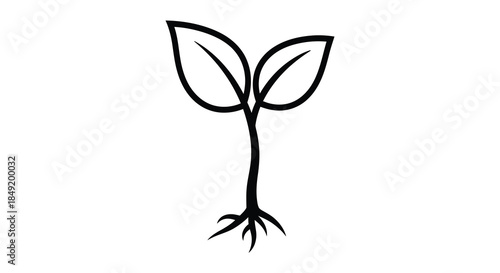 A simple black and white illustration of a sprouting plant with delicate roots silhouette