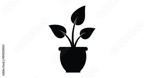 a simple potted plant design featuring dark leaves and a rounded container silhouette
