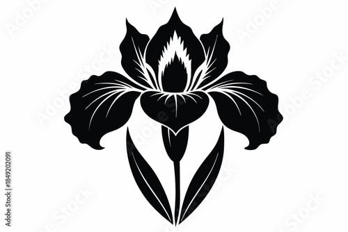 iris silhouette line art vector illustration