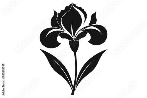 iris silhouette line art vector illustration