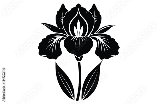 iris silhouette line art vector illustration