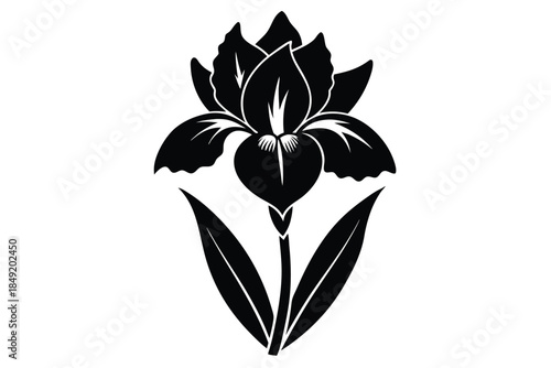 iris silhouette line art vector illustration