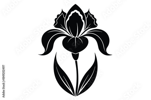 iris silhouette line art vector illustration