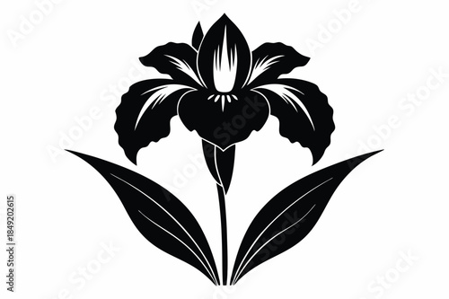 iris silhouette line art vector illustration