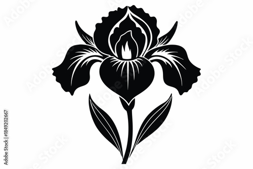 iris silhouette line art vector illustration