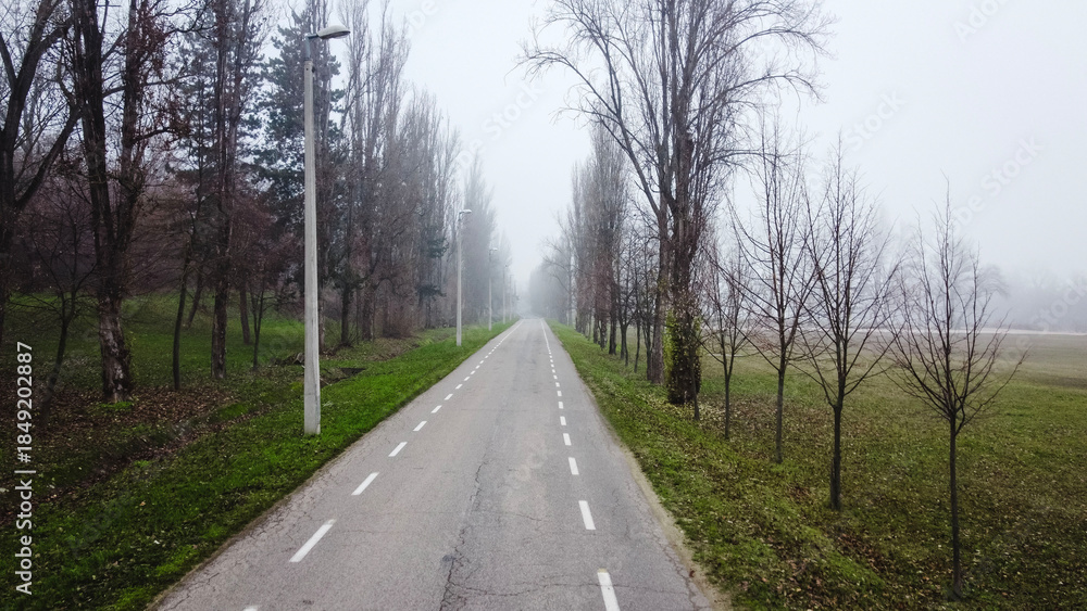 Fototapeta premium Foggy road with bare trees
