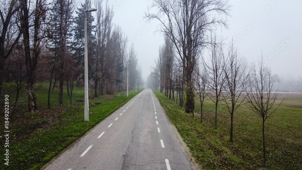 Fototapeta premium Foggy road with bare trees
