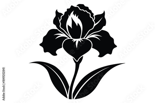 iris silhouette line art vector illustration