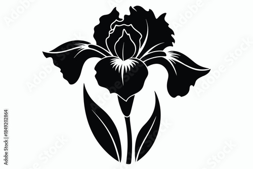 iris silhouette line art vector illustration