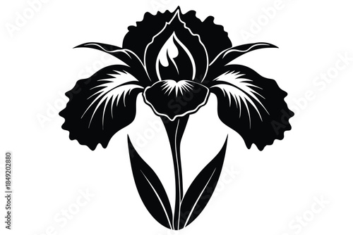 iris silhouette line art vector illustration