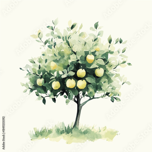 Hand-painted style, vectorized, vector set available in EPS An Elegant watercolor painting design collection_Watercolor_style_painting_of_a_apple_tree_on_a_white