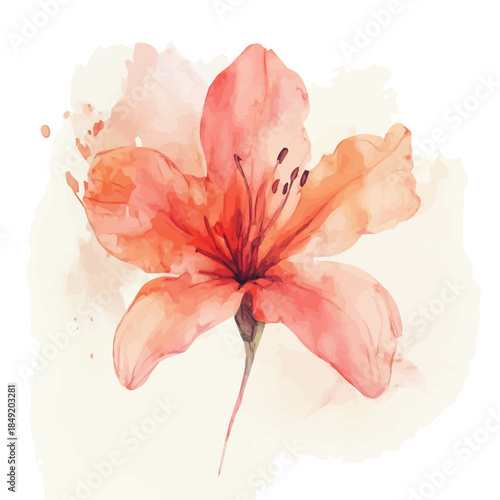 Hand-painted style, vectorized, vector set available in EPS An Elegant watercolor painting design collection_Watercolor_style_painting_of_a_azalea_flower_on_a_white