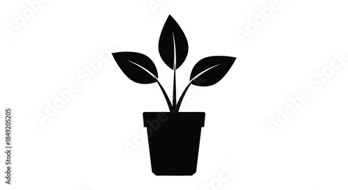 A simple black silhouette of a potted plant with three leaves and a rectangular pot silhouette