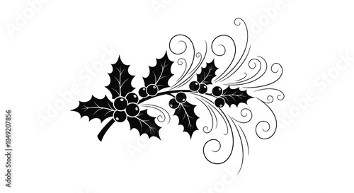 A delicate black and white illustration of a holly branch with berries a beautiful silhouette