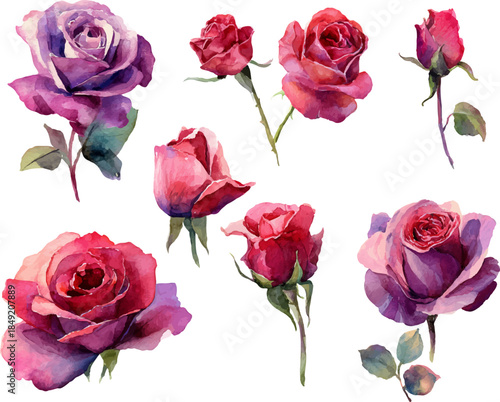 bouquet of red roses