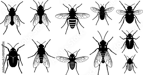 Insect silhouettes collection, fly mosquito bee species, winged bug icon, vector illustration, nature art, entomology design, wildlife fauna, pest control graphic See Less

