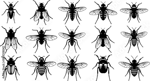 Insect silhouettes collection, fly mosquito bee species, winged bug icon, vector illustration, nature art, entomology design, wildlife fauna, pest control graphic See Less
