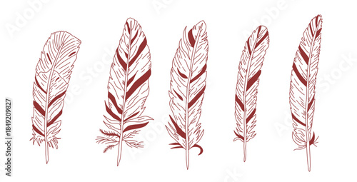 Vector feather boho drawing with intricate line work and boho style. Artistic sketch featuring elegant plume design, ideal for vintage-inspired creative project.