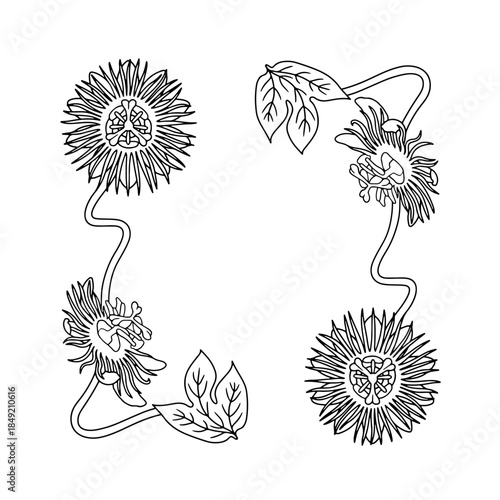 Art nouveau vintage hand drawn black and white passion flower frame vector illustration. Monochrome floral border card template
