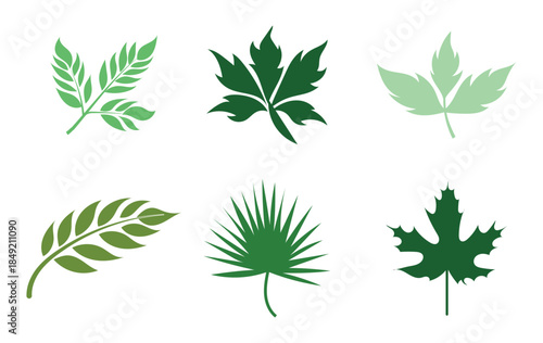 Set of hand-drawn leave silhouette on a white background, nature leaves collection vector illustration, vector icon . Collection of Black Silhouettes of Tropical Leaves and Monstera palm leaf