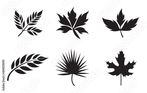 PrintLeaf silhouette set, botanical vector leaves, black nature icons, plant shape collection, foliage illustration, minimal design, tree leaf graphic