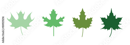 Tropical leaves silhouettes collection for creative design and decoration projects