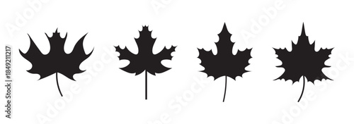 leaf icons set leaf silhouette tropical leaves set palm