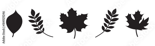 Black silhouette icons of four different leaves, including oak, maple, birch, and fern, presented as a minimalist vector set for botanical or seasonal design concepts