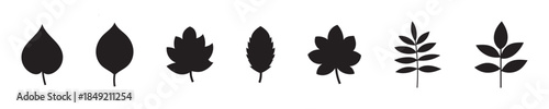 A collection of black silhouette tropical palm leaves provides versatile design elements for creative projects