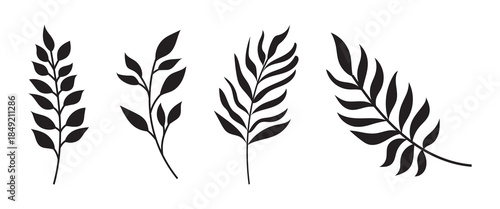 Set of black tropical leaves silhouettes isolated on white background exotic foliage collection botanical elements for design vector illustration nature inspired